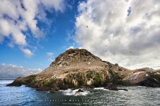 Ile Rouzic, Archipel des 7 îles en Bretagne